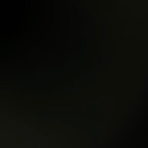 Meet your Posher, Jaylen